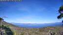 ./images/calvert/fitz-hugh-hecate/20260808/fitz-hugh-hecate20260808_170002M.jpg