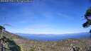 ./images/calvert/fitz-hugh-hecate/20260808/fitz-hugh-hecate20260808_170501M.jpg