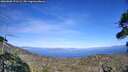 ./images/calvert/fitz-hugh-hecate/20260808/fitz-hugh-hecate20260808_171501M.jpg