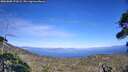 ./images/calvert/fitz-hugh-hecate/20260808/fitz-hugh-hecate20260808_172001M.jpg