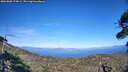 ./images/calvert/fitz-hugh-hecate/20260808/fitz-hugh-hecate20260808_174001M.jpg