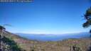 ./images/calvert/fitz-hugh-hecate/20260808/fitz-hugh-hecate20260808_180501M.jpg