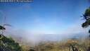 ./images/calvert/fitz-hugh-hecate/20260808/fitz-hugh-hecate20260808_183001M.jpg