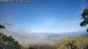 ./images/calvert/fitz-hugh-hecate/20260808/fitz-hugh-hecate20260808_183501M.jpg