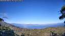 ./images/calvert/fitz-hugh-hecate/20260808/fitz-hugh-hecate20260808_185001M.jpg