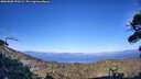 ./images/calvert/fitz-hugh-hecate/20260808/fitz-hugh-hecate20260808_190501M.jpg