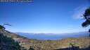 ./images/calvert/fitz-hugh-hecate/20260808/fitz-hugh-hecate20260808_191001M.jpg