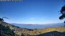 ./images/calvert/fitz-hugh-hecate/20260808/fitz-hugh-hecate20260808_194001M.jpg