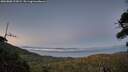 ./images/calvert/fitz-hugh-hecate/20260808/fitz-hugh-hecate20260808_213001M.jpg