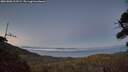./images/calvert/fitz-hugh-hecate/20260808/fitz-hugh-hecate20260808_213501M.jpg