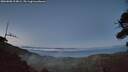 ./images/calvert/fitz-hugh-hecate/20260808/fitz-hugh-hecate20260808_214001M.jpg