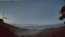 ./images/calvert/fitz-hugh-hecate/20260808/fitz-hugh-hecate20260808_214501M.jpg