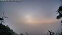 ./images/calvert/fitz-hugh-hecate/20260809/fitz-hugh-hecate20260809_054502M.jpg