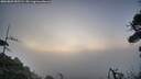 ./images/calvert/fitz-hugh-hecate/20260809/fitz-hugh-hecate20260809_055501M.jpg