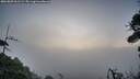 ./images/calvert/fitz-hugh-hecate/20260809/fitz-hugh-hecate20260809_061501M.jpg