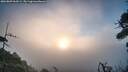 ./images/calvert/fitz-hugh-hecate/20260809/fitz-hugh-hecate20260809_064501M.jpg