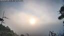 ./images/calvert/fitz-hugh-hecate/20260809/fitz-hugh-hecate20260809_065002M.jpg