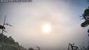 ./images/calvert/fitz-hugh-hecate/20260809/fitz-hugh-hecate20260809_070002M.jpg