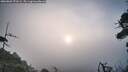 ./images/calvert/fitz-hugh-hecate/20260809/fitz-hugh-hecate20260809_070501M.jpg
