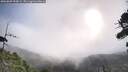 ./images/calvert/fitz-hugh-hecate/20260809/fitz-hugh-hecate20260809_090002M.jpg