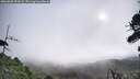 ./images/calvert/fitz-hugh-hecate/20260809/fitz-hugh-hecate20260809_090502M.jpg