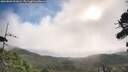 ./images/calvert/fitz-hugh-hecate/20260809/fitz-hugh-hecate20260809_091001M.jpg