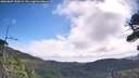 ./images/calvert/fitz-hugh-hecate/20260809/fitz-hugh-hecate20260809_100002M.jpg