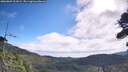 ./images/calvert/fitz-hugh-hecate/20260809/fitz-hugh-hecate20260809_101001M.jpg