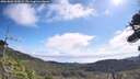 ./images/calvert/fitz-hugh-hecate/20260809/fitz-hugh-hecate20260809_103002M.jpg