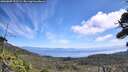 ./images/calvert/fitz-hugh-hecate/20260809/fitz-hugh-hecate20260809_121501M.jpg