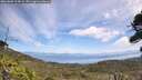 ./images/calvert/fitz-hugh-hecate/20260809/fitz-hugh-hecate20260809_124001M.jpg