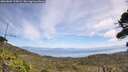 ./images/calvert/fitz-hugh-hecate/20260809/fitz-hugh-hecate20260809_125002M.jpg