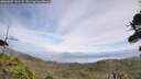 ./images/calvert/fitz-hugh-hecate/20260809/fitz-hugh-hecate20260809_141501M.jpg