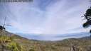 ./images/calvert/fitz-hugh-hecate/20260809/fitz-hugh-hecate20260809_143002M.jpg