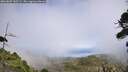 ./images/calvert/fitz-hugh-hecate/20260809/fitz-hugh-hecate20260809_145501M.jpg