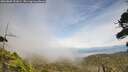 ./images/calvert/fitz-hugh-hecate/20260809/fitz-hugh-hecate20260809_151001M.jpg