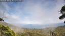 ./images/calvert/fitz-hugh-hecate/20260809/fitz-hugh-hecate20260809_153001M.jpg