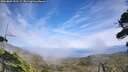 ./images/calvert/fitz-hugh-hecate/20260809/fitz-hugh-hecate20260809_153501M.jpg