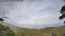 ./images/calvert/fitz-hugh-hecate/20260809/fitz-hugh-hecate20260809_175001M.jpg