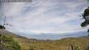 ./images/calvert/fitz-hugh-hecate/20260809/fitz-hugh-hecate20260809_181501M.jpg