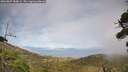 ./images/calvert/fitz-hugh-hecate/20260809/fitz-hugh-hecate20260809_184001M.jpg