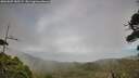 ./images/calvert/fitz-hugh-hecate/20260809/fitz-hugh-hecate20260809_185501M.jpg