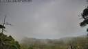 ./images/calvert/fitz-hugh-hecate/20260809/fitz-hugh-hecate20260809_190002M.jpg