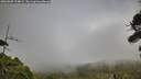 ./images/calvert/fitz-hugh-hecate/20260809/fitz-hugh-hecate20260809_194001M.jpg