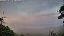 ./images/calvert/fitz-hugh-hecate/20260809/fitz-hugh-hecate20260809_211501M.jpg