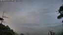 ./images/calvert/fitz-hugh-hecate/20260809/fitz-hugh-hecate20260809_212501M.jpg