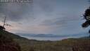 ./images/calvert/fitz-hugh-hecate/20260809/fitz-hugh-hecate20260809_213001M.jpg