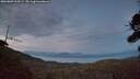 ./images/calvert/fitz-hugh-hecate/20260809/fitz-hugh-hecate20260809_213501M.jpg