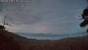 ./images/calvert/fitz-hugh-hecate/20260809/fitz-hugh-hecate20260809_214002M.jpg