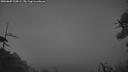 ./images/calvert/fitz-hugh-hecate/20260809/fitz-hugh-hecate20260809_215001M.jpg